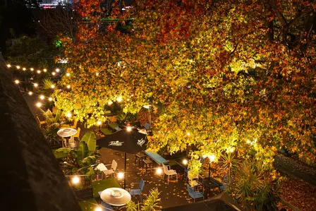 NYC CTOs & Tech Founders Night: Secret Garden Edition
