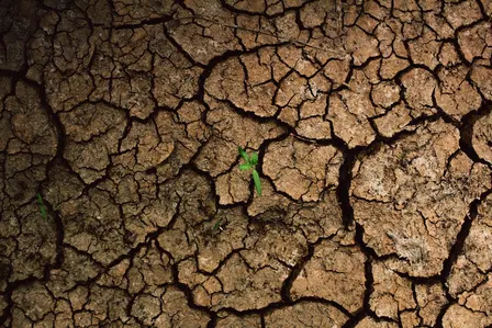 Unequal distribution of climate harms: the international climate legal framework, loss and damage and their financial underpinnings
