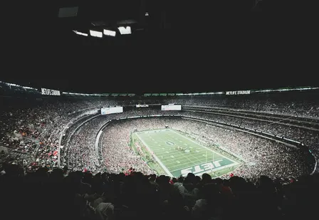 Houston Livestock Show and Rodeo