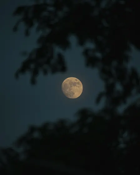 Harvest Full Moon Walk