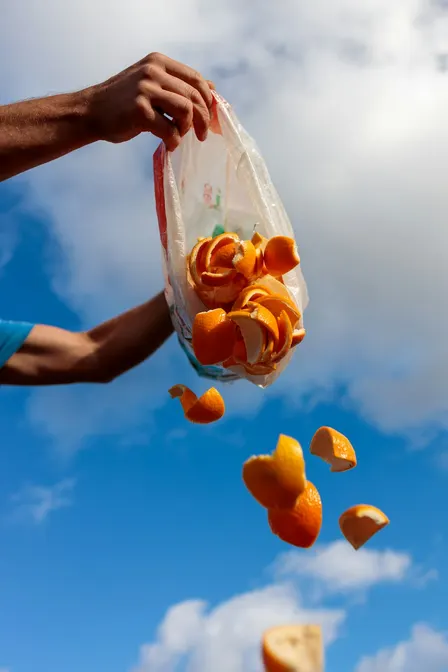 Feeding People, Not Landfills: Policy Solutions that Tackle Food Waste and Food Insecurity