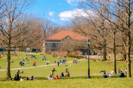 Writing Group in Prospect Park: HOME