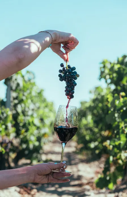 Natural Wine meets Barcelona Climate Week