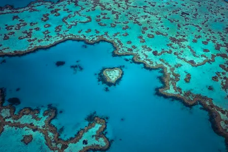 Heart Connection Circle