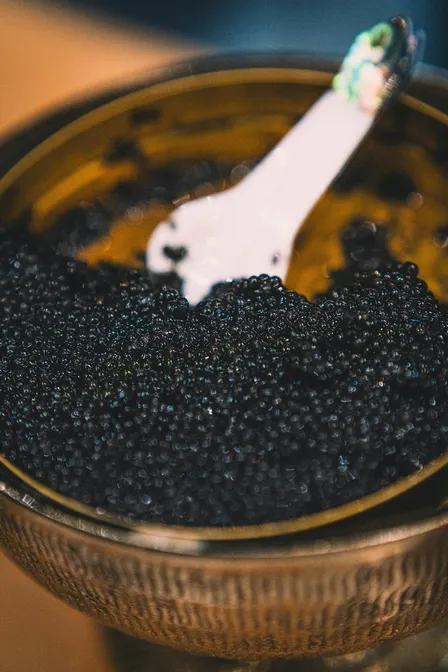 Caviar & Italian Bubbles Tasting