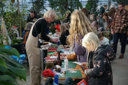 Taller càpsula 'Arbre de Nadal tridimensional' *NOU*