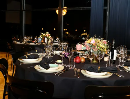 IWIRC Dinner | Tampa View from the Bench