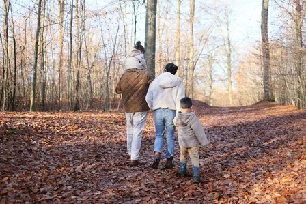 Pioneers Park Nature Center presents Wild Fall Festival