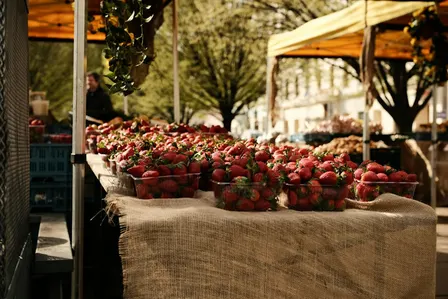 Queen Victoria Market | Open Hours