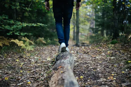 Into the Green – Walk Toward Regeneration