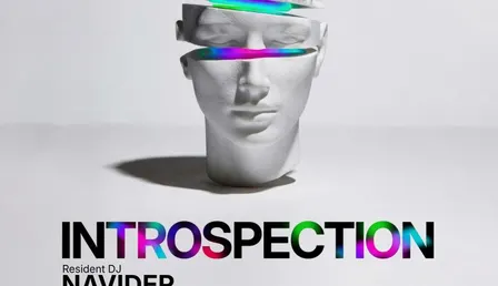 Introspection: Navider
