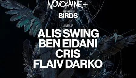 NOVOCAINE+ presents BIRDS