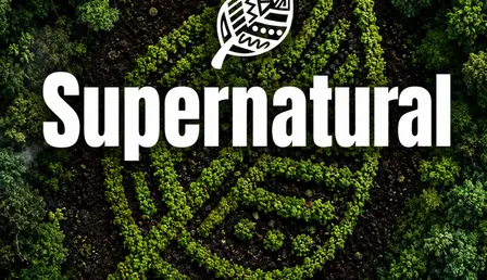 SUPERNATURAL w/ MESTIZA - Daytime Party