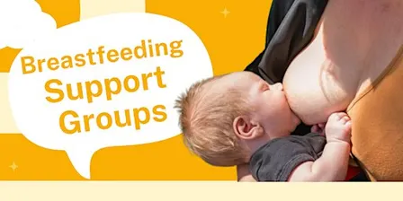 Breastfeeding-Lactation Support Berkeley / Wollongong