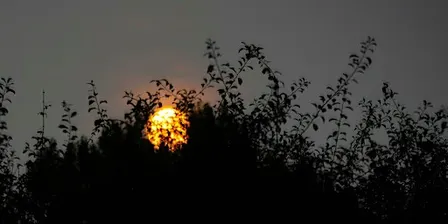 Vollemaan en Vleermuizen Wandeling, zaterdag 26 september 19.30 uur