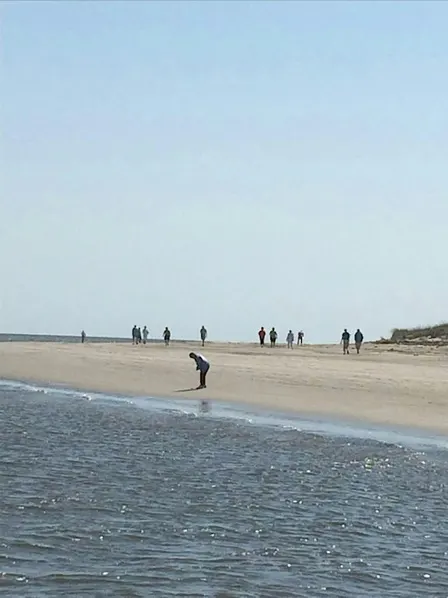 October Ossabaw Island Beach Ecology Day Trip