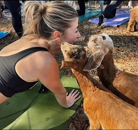 Goat Yoga at Botanologica