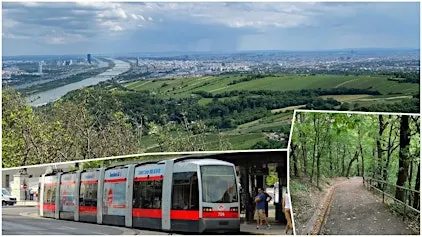 Social Hike: Kaptivating Kahlenberg
