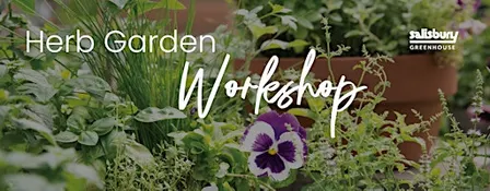 DIY Herb Garden | Workshop | St. Albert