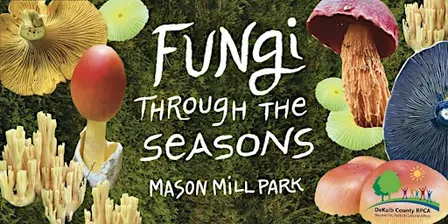 Fungi Though the Seasons: Fall