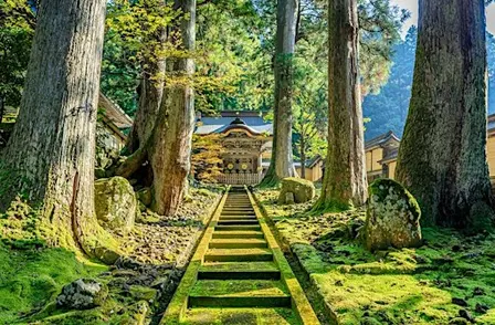 Ritiro di Zazen con il Rev. Carmine Shinkō De Rosario, monaco zen sōtō.