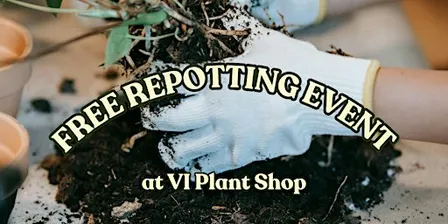 FREE Repotting Event at VI Plant Shop
