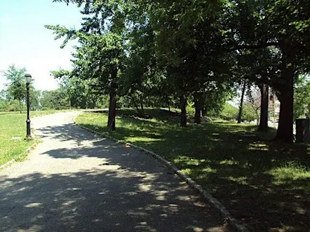 Ogden and University Avenues Cleanup