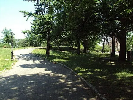 Ogden and University Avenues Cleanup