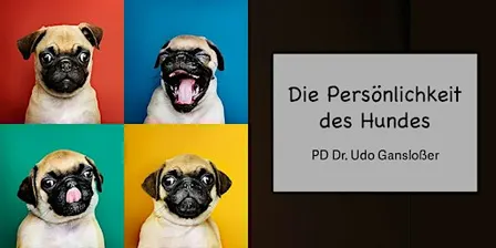 Persönlichkeit des Hundes(PD Dr. Udo Gansloßer)
