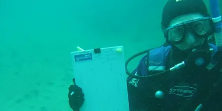 Seasearch Surveys 18th September 2026 (2103 + 37040)