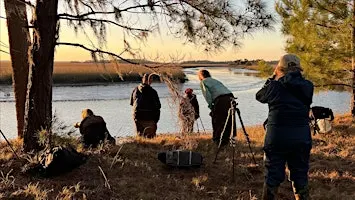 Creative  4-day, 3-night retreat on Ossabaw Island