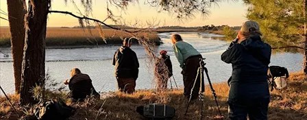Creative 4-day, 3-night retreat on Ossabaw Island
