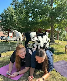 Goat yoga@ Waterloo Monroe Farmers Market