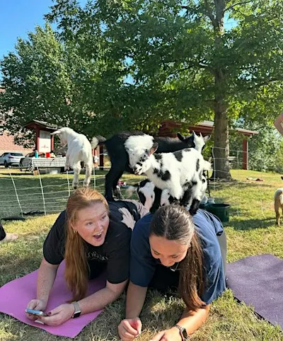 Goat yoga@ Waterloo Monroe Farmers Market