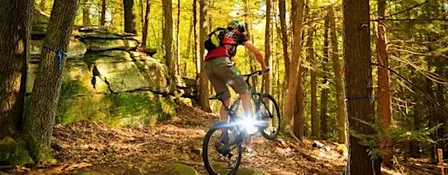 Wachusett NEMBA Monday Night Ride - Holden - River Rd