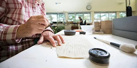 Practical Preservation: Discovery Saturday
