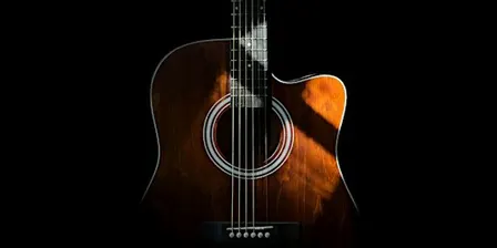 Tasting Menu & Spanish Guitar