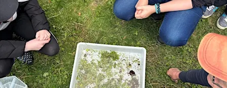 Autumn 2026 Riverfly Training Day