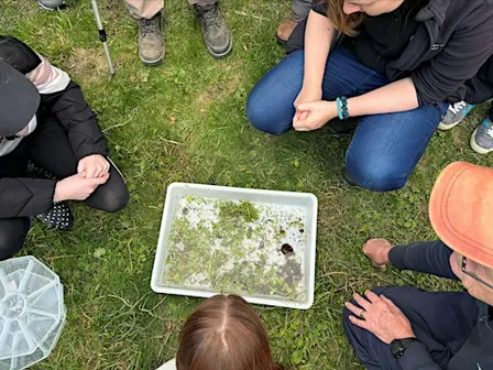 Autumn 2026 Riverfly Training Day