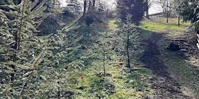 Fall Planting at Renfrew Community Park