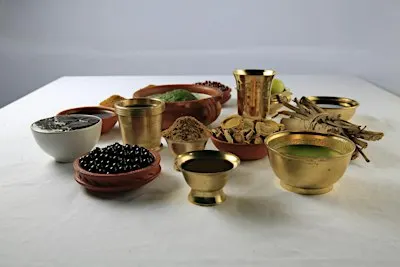 Ayurvedic Life Style Consultation