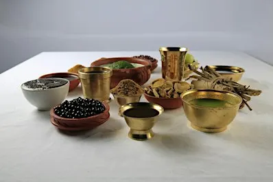 Ayurvedic Life Style Consultation
