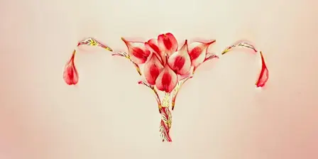 The Womb Healing Circle