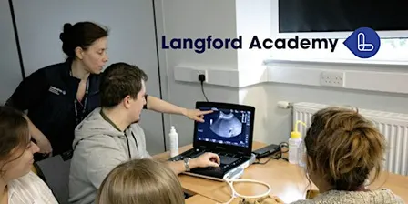 Veterinary Abdominal Ultrasound Practical Day