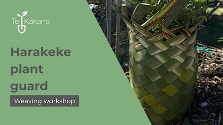 Harakeke plant guard workshop- Queenstown Library- 22nd October