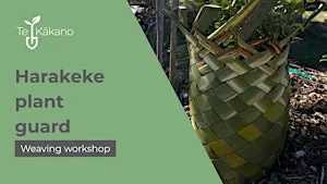 Harakeke plant guard workshop- Queenstown Library- 22nd October