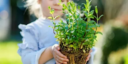 Magical Herb Garden Workshop (ages 4-9)