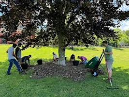 Tree Corps: Braga Park
