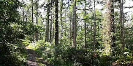 Failand 5km Scenic Nordic Walk