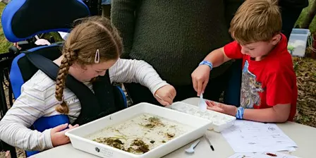 World of Waterbugs - Tidbinbilla School Holiday Program